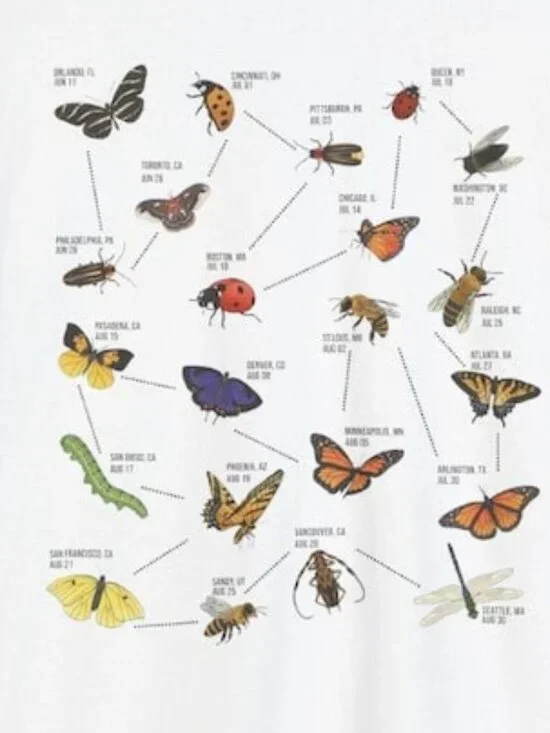 NK T-shirt 2026, Great Divide Tour 2026 Shirt, Porch Light Shirt, Last of Th 209 - Picture 3 of 6